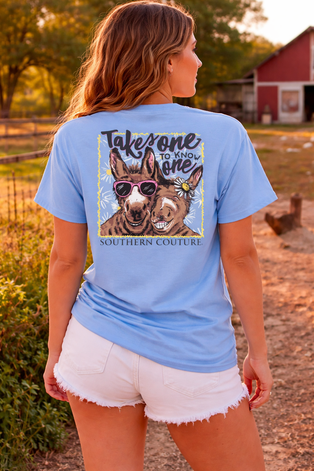 Southern Couture Classic Takes One to Know One Donkey T-Shirt