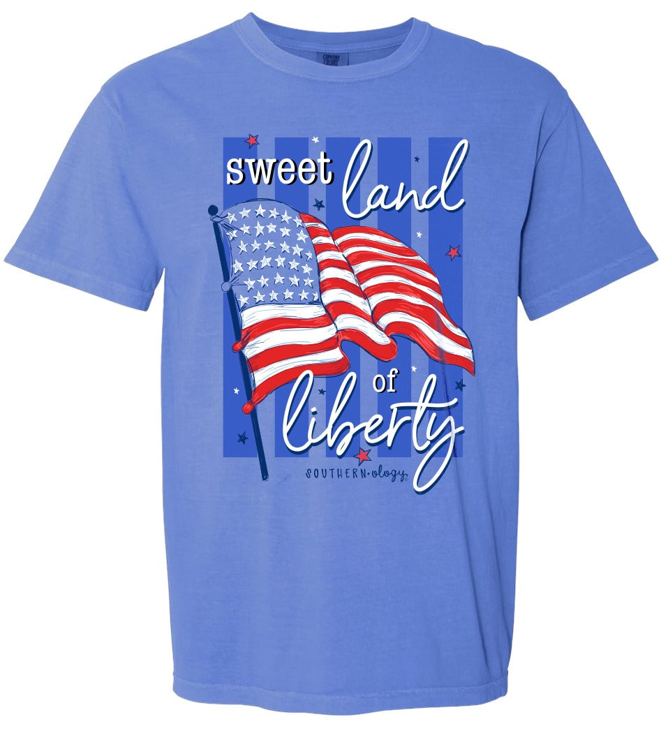Southernology USA Liberty Flag Comfort Colors T-Shirt