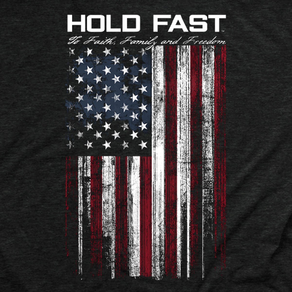 Hold Fast to Faith Family Freedom USA Unisex Hoodie T Shirt