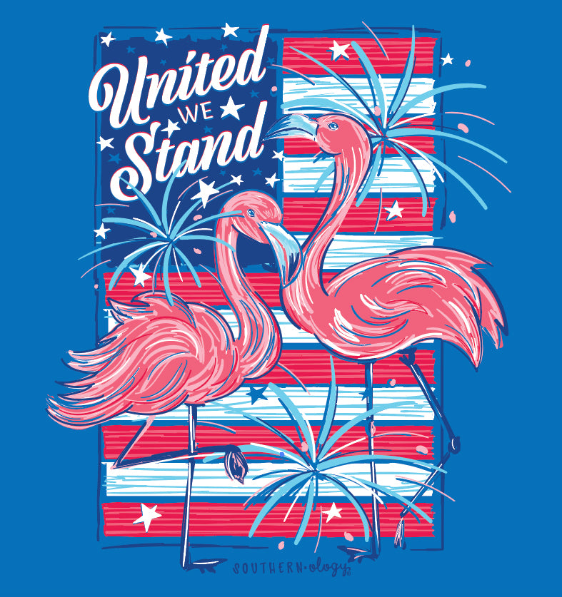 Southernology Flamingo United We Stand USA Comfort Colors T-Shirt